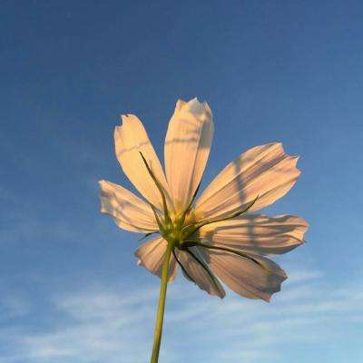 乐鱼(中国)官方网站下载手机版