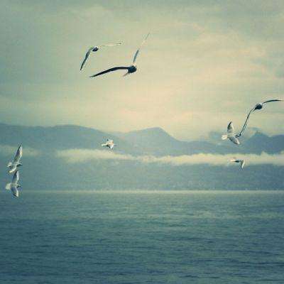 大发棋牌方网址入口