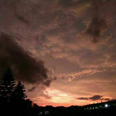 万博max官方入口