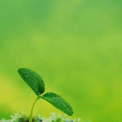 半岛全站app下载