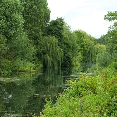 ayx体育在线登录下载手机版