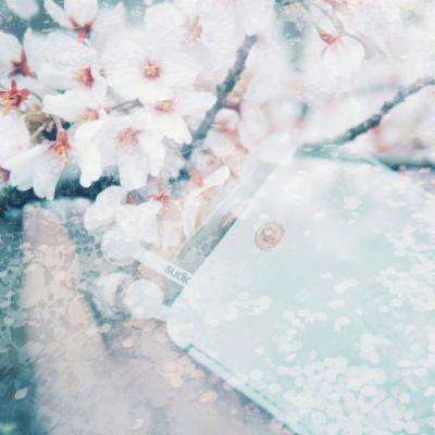 火狐体育APP体育