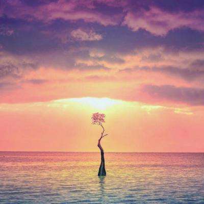 彩神lllv入口手机app下载截图